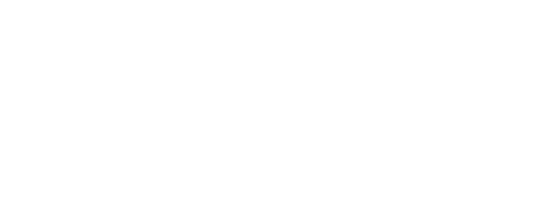 Avoei Logo